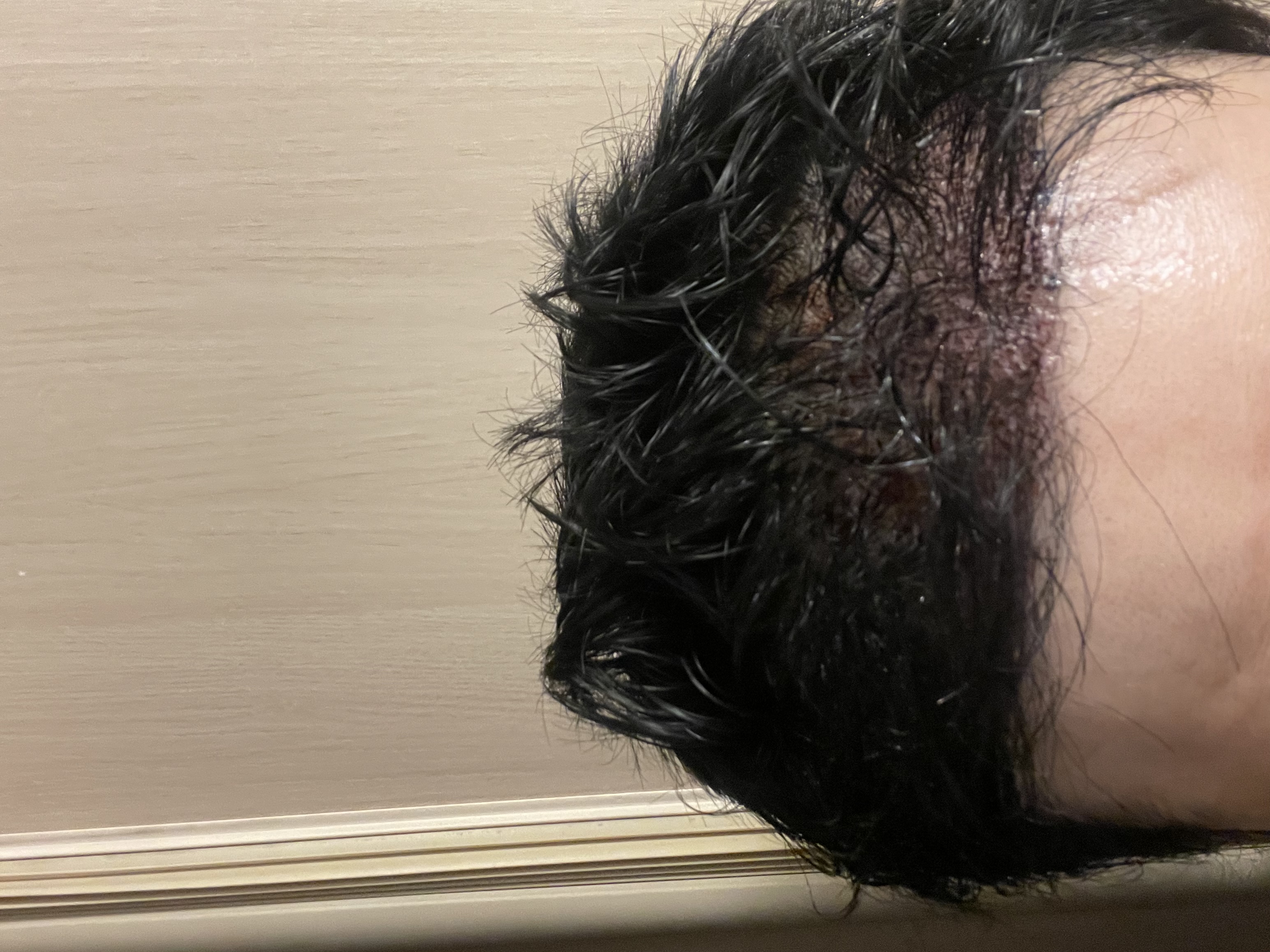 포토후기 이미지