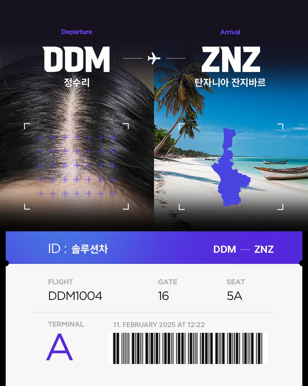 솔루션차of Hair bnb Travel Destination
