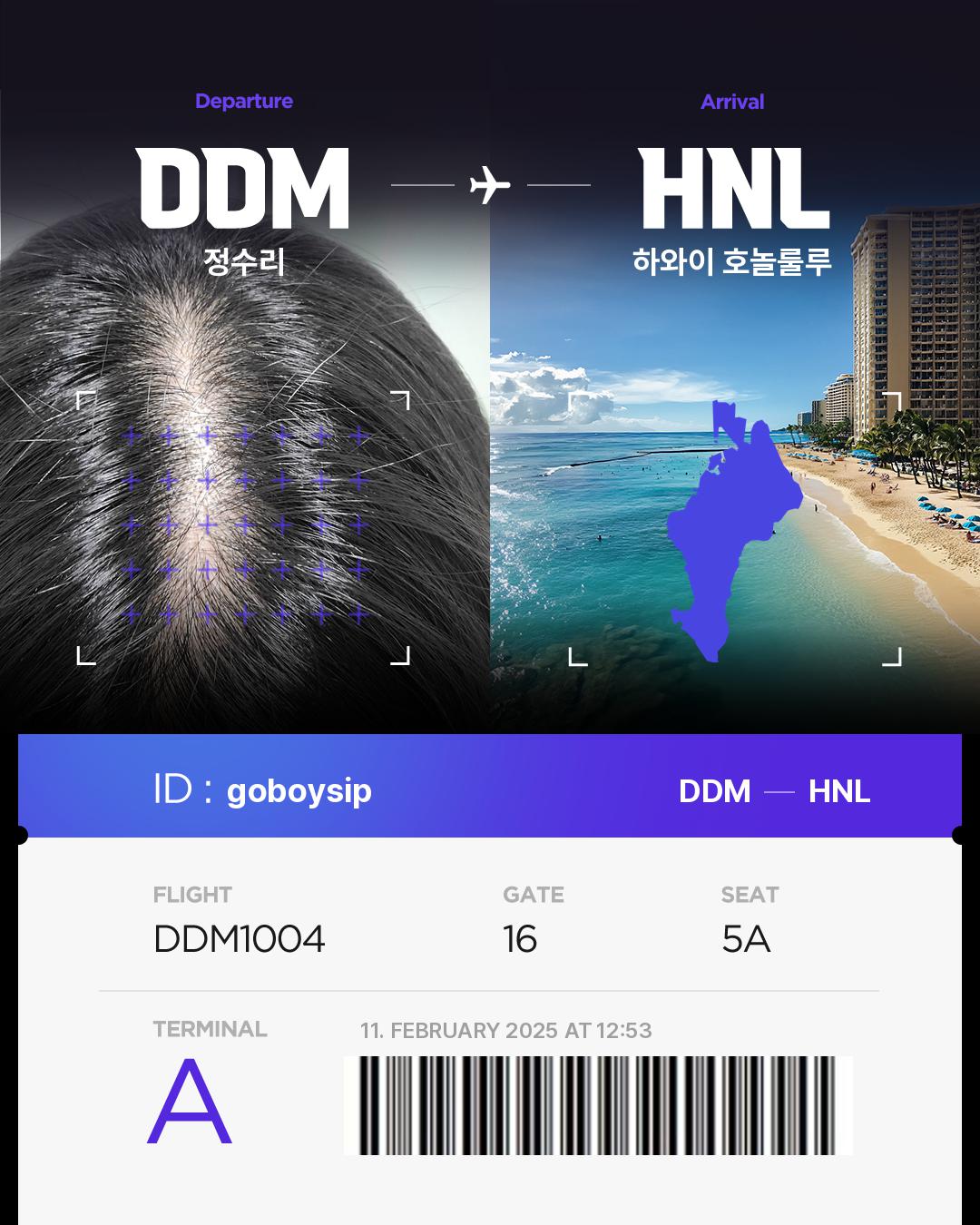 goboysipof Hair bnb Travel Destination