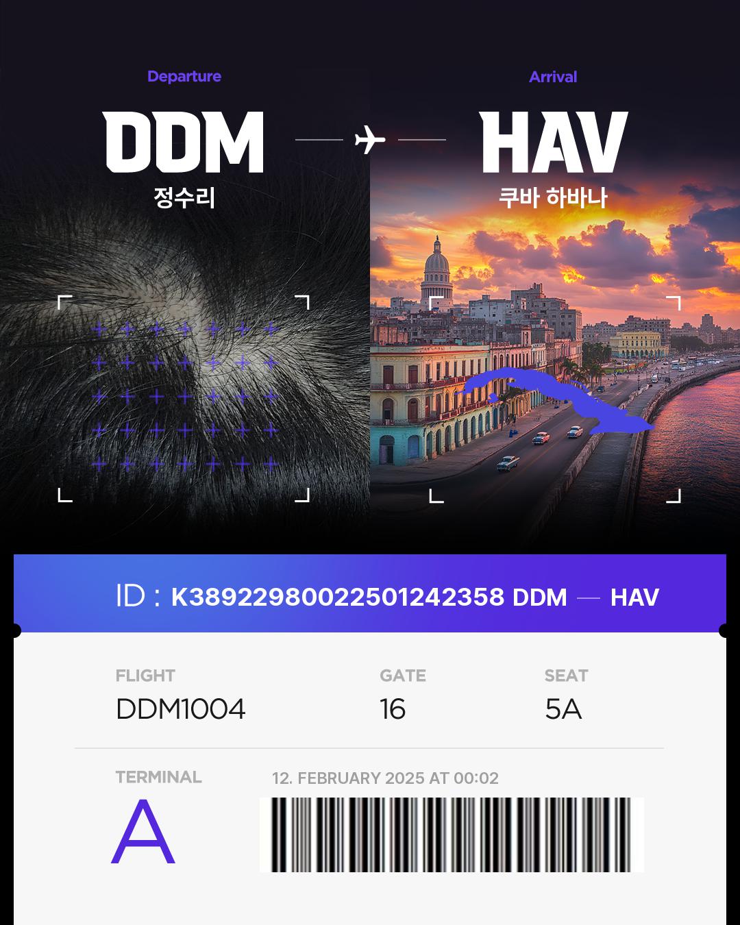 K38922980022501242358of Hair bnb Travel Destination