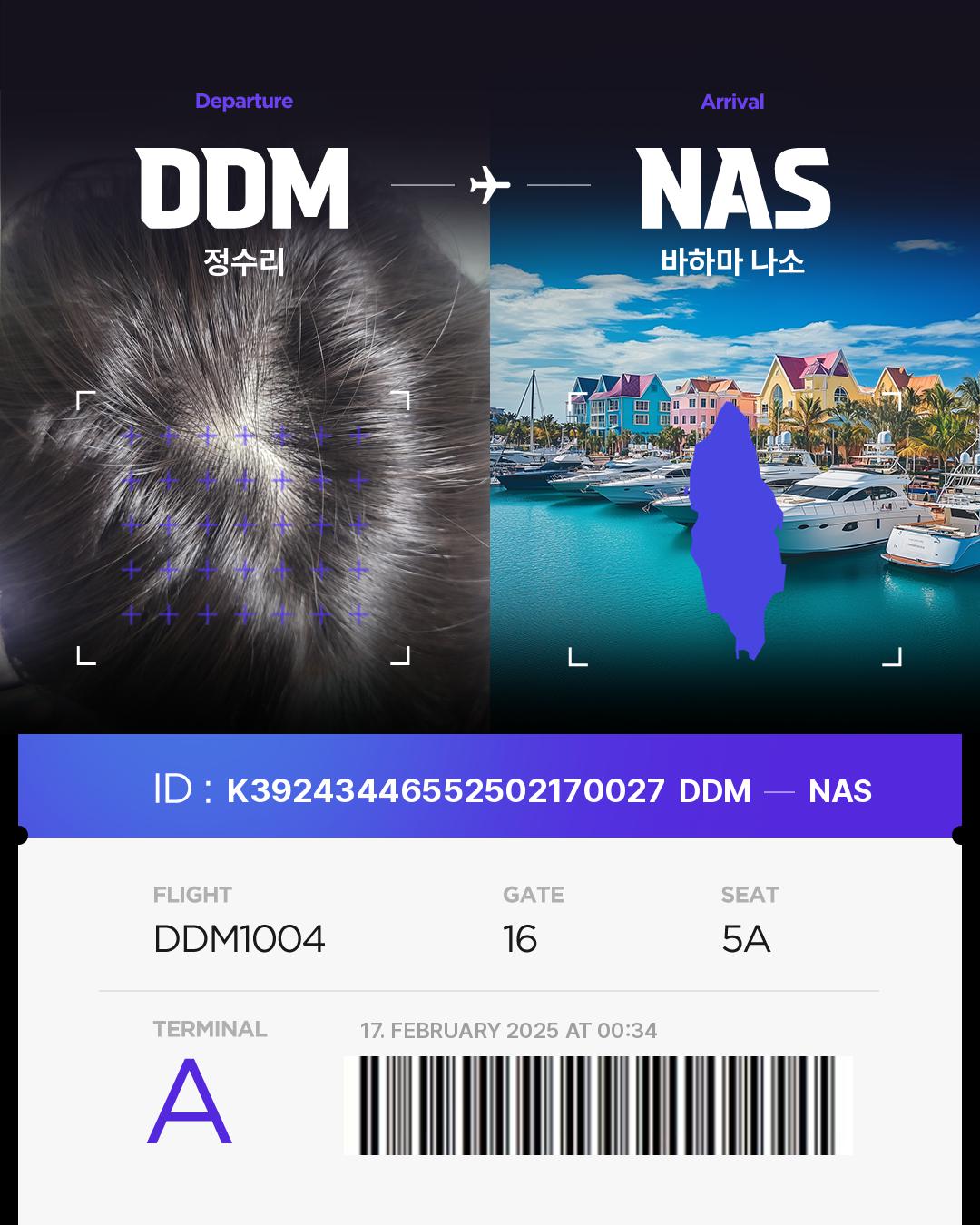 K39243446552502170027of Hair bnb Travel Destination