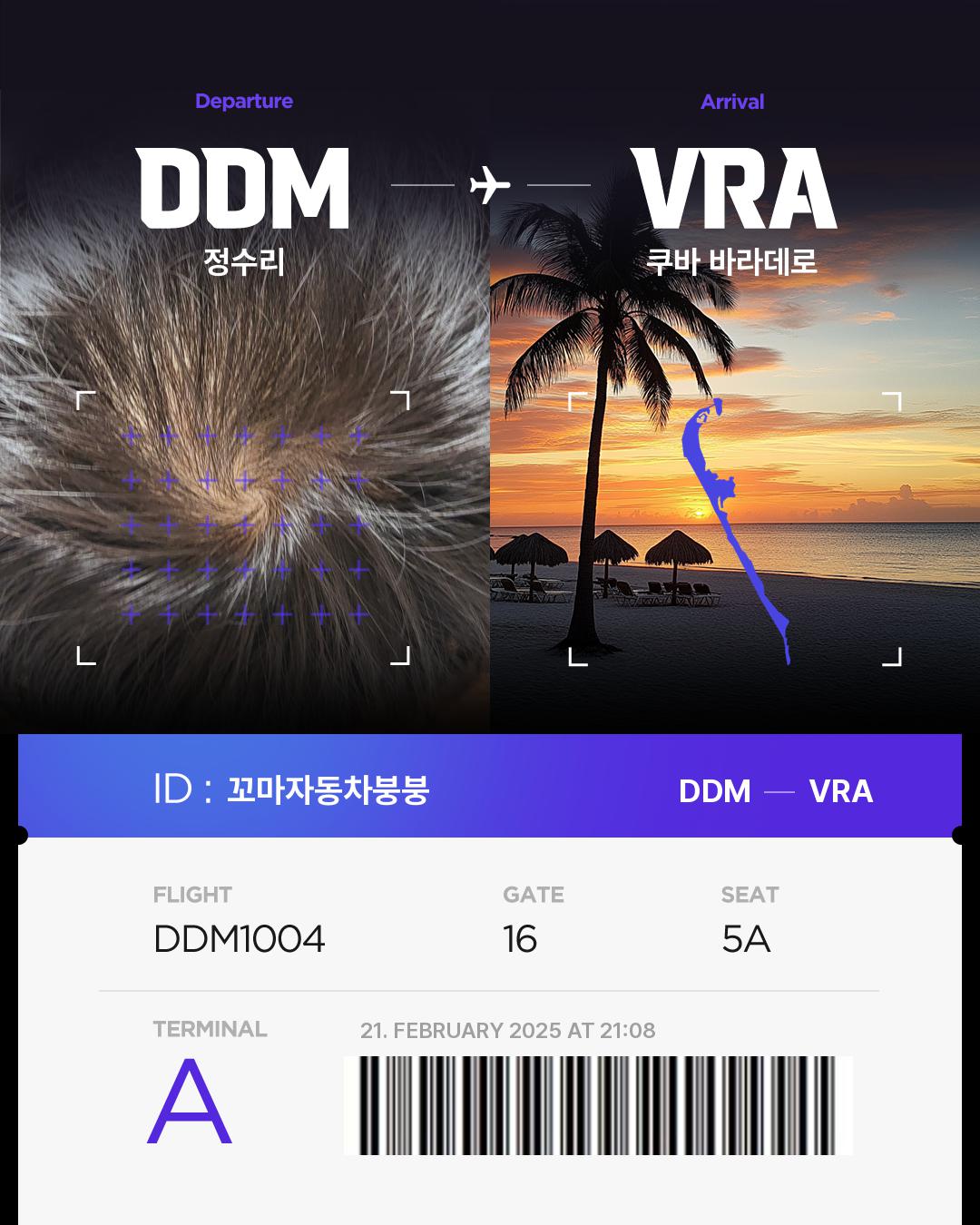 꼬마자동차붕붕of Hair bnb Travel Destination