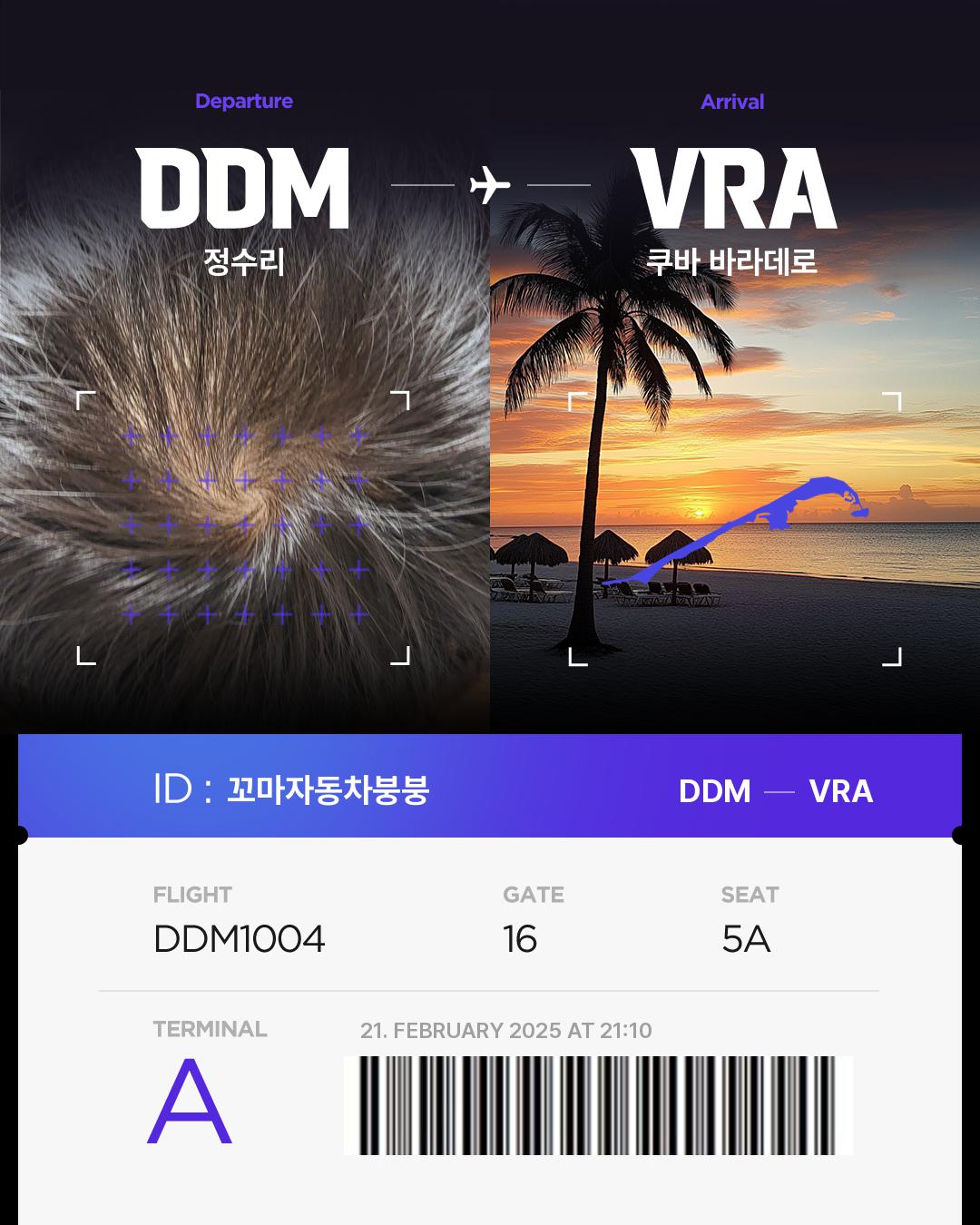 꼬마자동차붕붕of Hair bnb Travel Destination