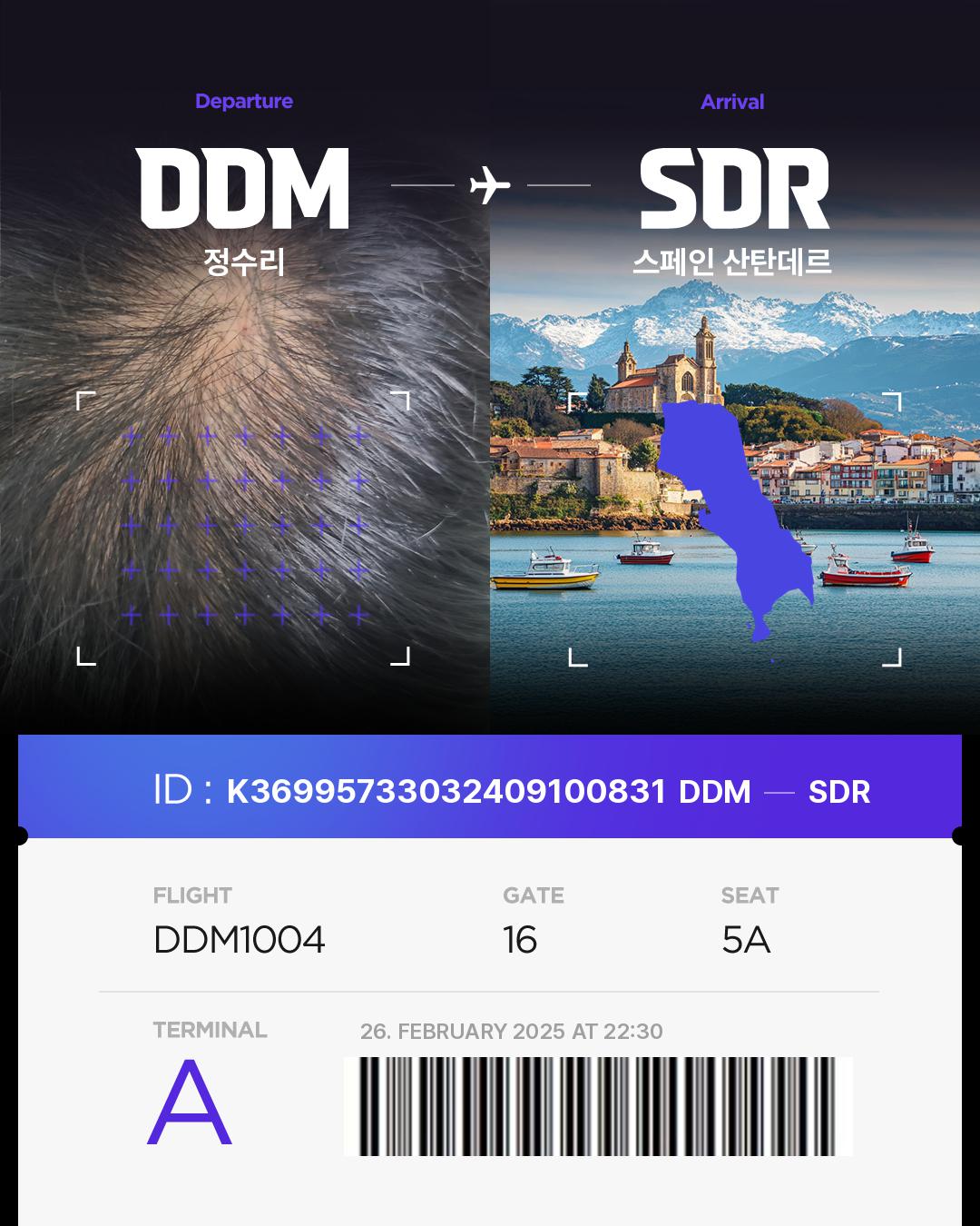 K36995733032409100831of Hair bnb Travel Destination