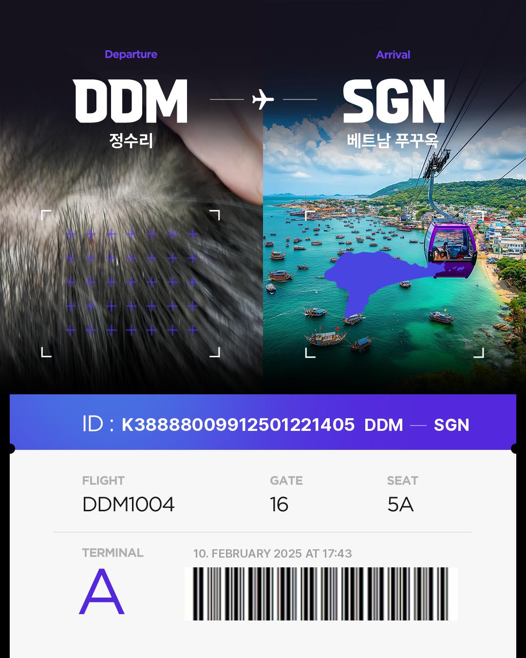 K38888009912501221405of Hair bnb Travel Destination
