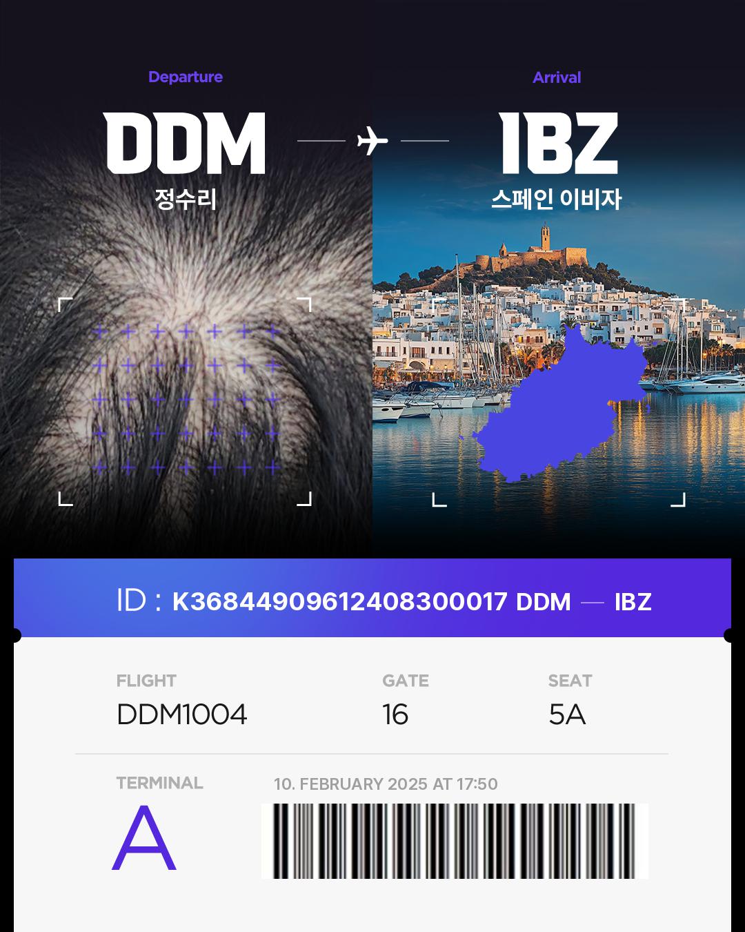 K36844909612408300017of Hair bnb Travel Destination