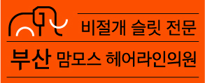 맘모스헤어라인 부산점