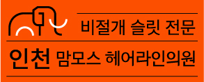 맘모스헤어라인 인천점