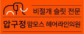 맘모스헤어라인 서울점