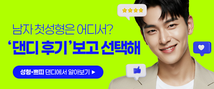 댄디