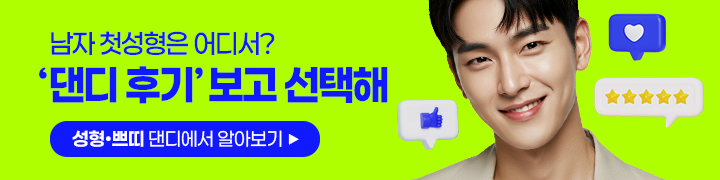 댄디