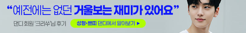 댄디