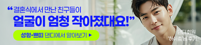 댄디
