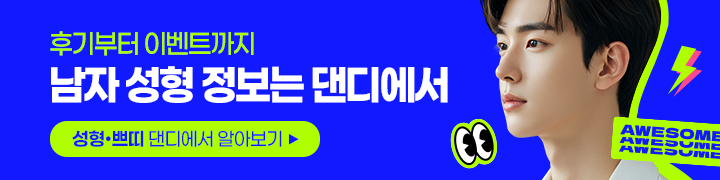 댄디