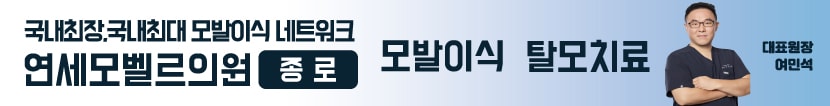 연세모벨르 종로