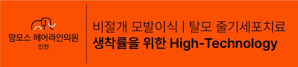인천맘모스