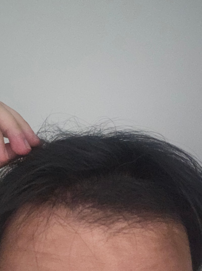 포토후기 이미지