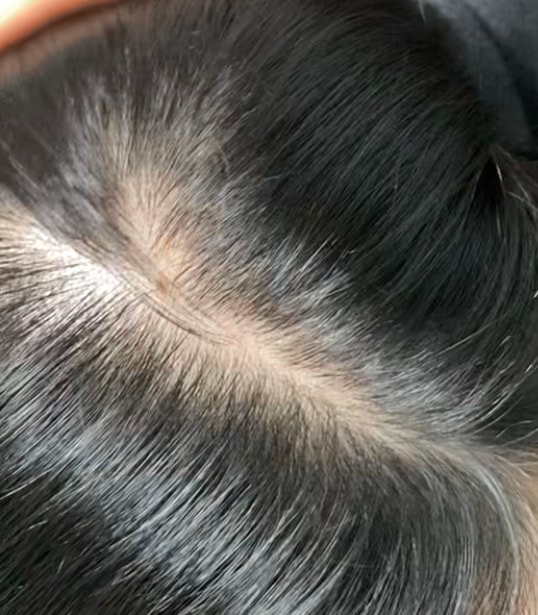 오늘 사진