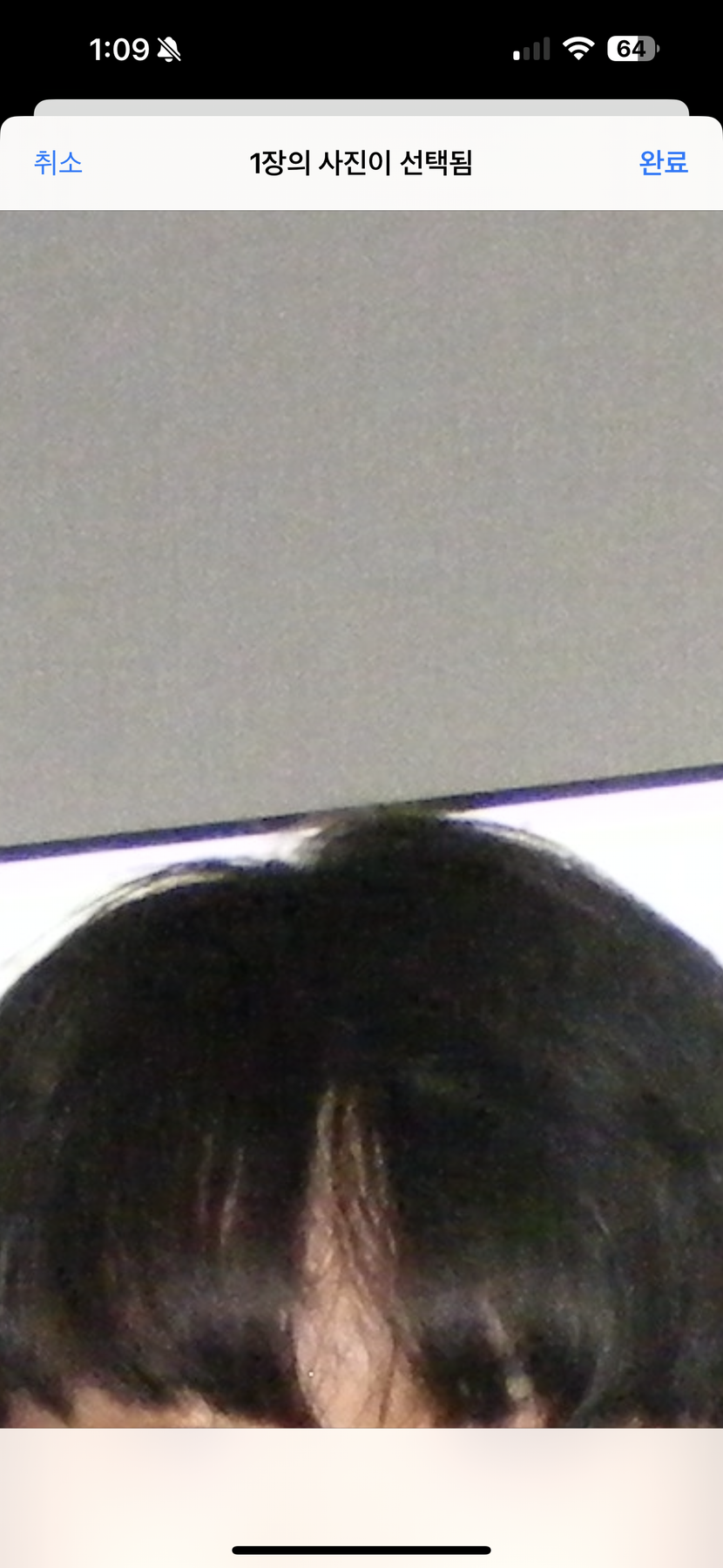 두달 전 머리입니다