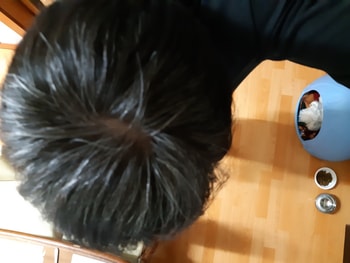 좀 어두운데서 찍었을때