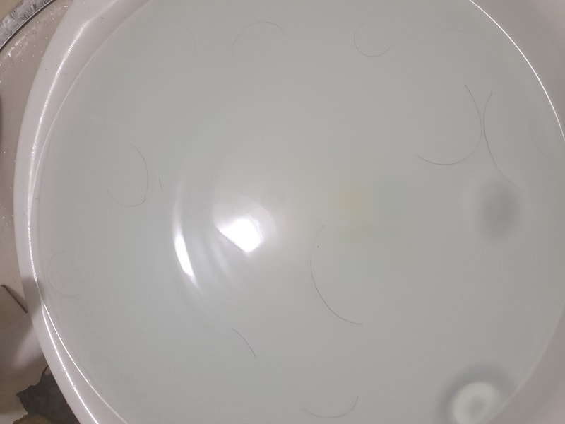 판토모나 8개월 복용 했어요
