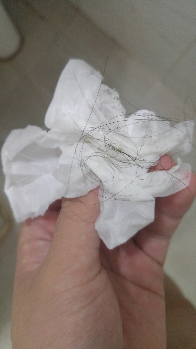 녹차실감 세보레아 모제림 샴푸 탈모양 비교해봤어요