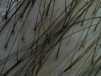 12월 28일. 12개월이 되었습니다. 