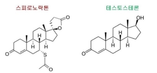사진:알닥톤 구조