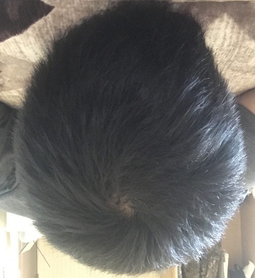 프페복용 110일차(무조명)