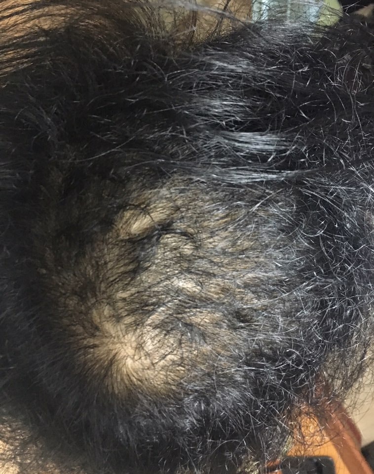 이것도 7월이네요