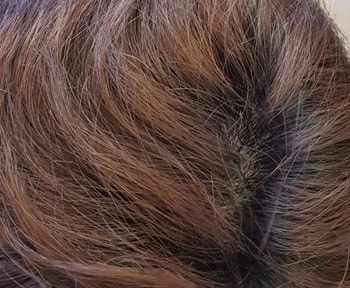 현재