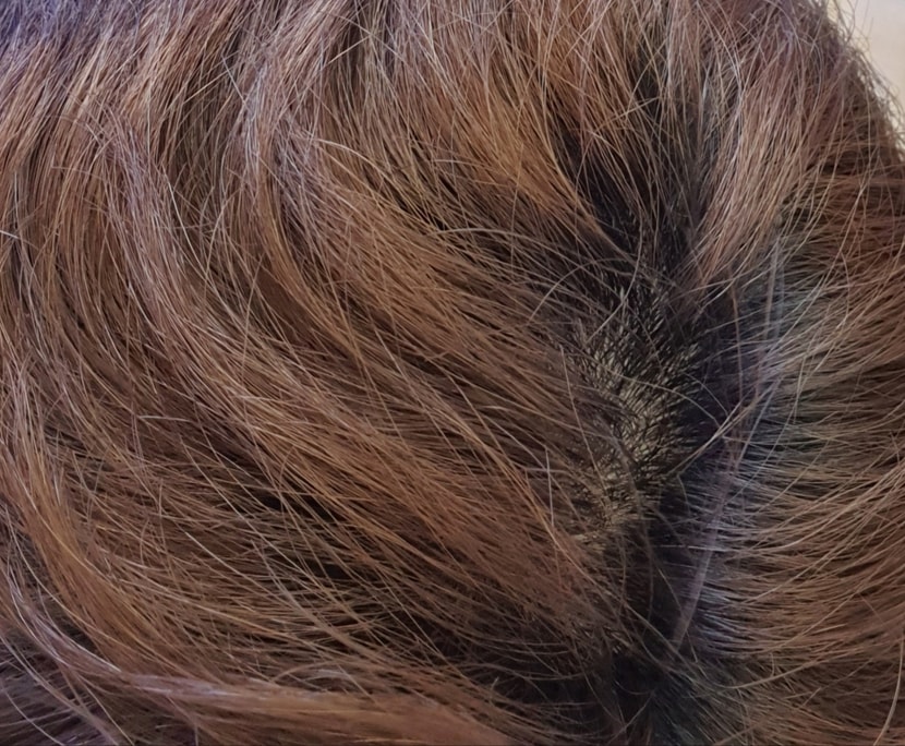현재
