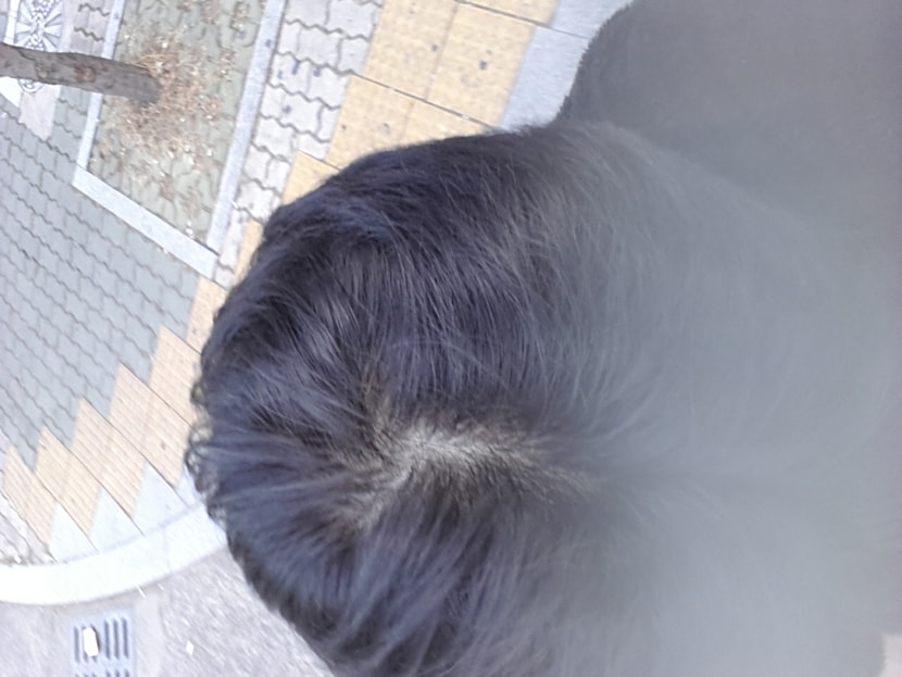 1년반 전 겨울..