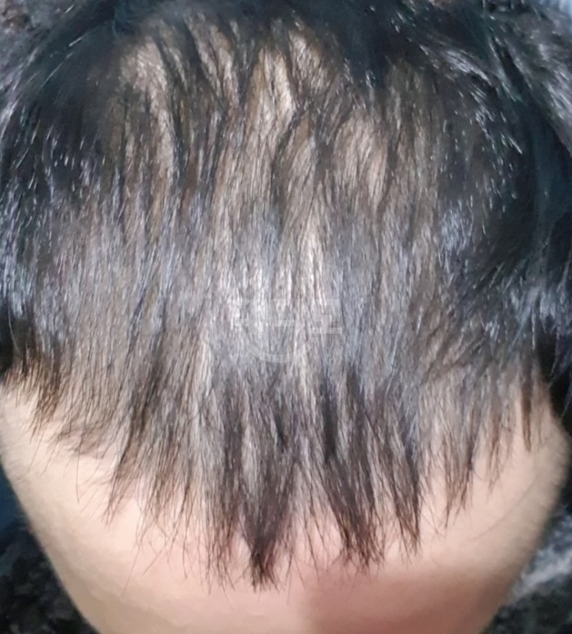 50일차