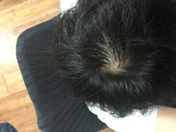2015년 가을 대다모입성