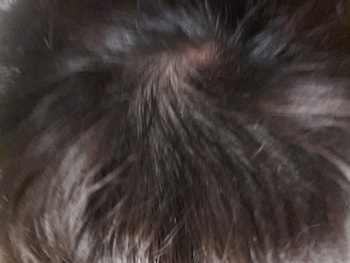 밝은 불빛있는 곳에서 찍은 사진입니다.