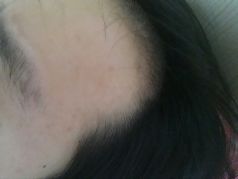 5个半月用发胶整理后记