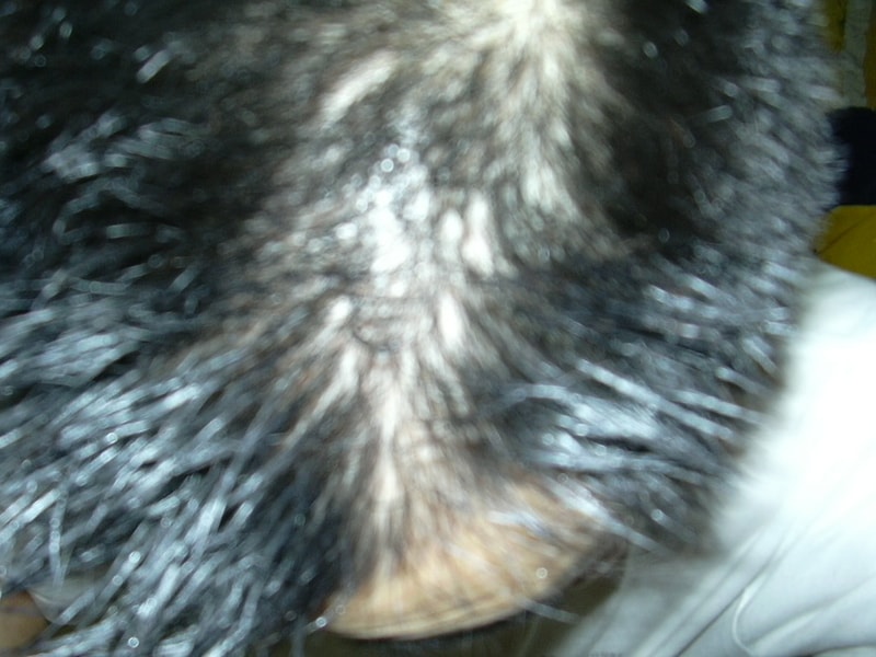 DSCN0240.JPG
