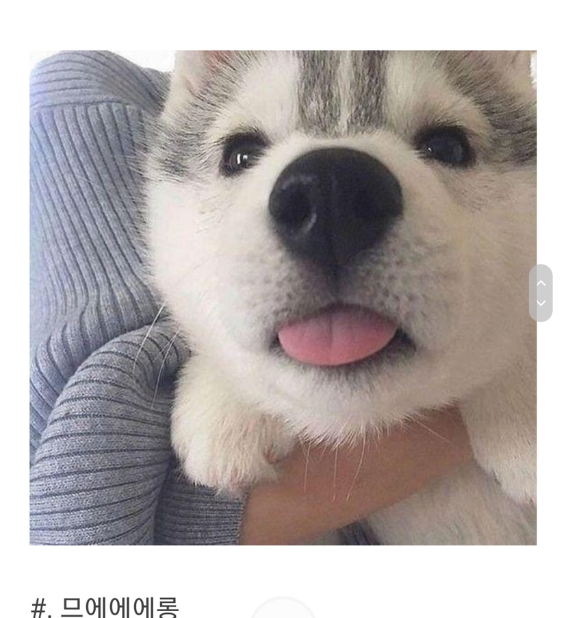 므에롱