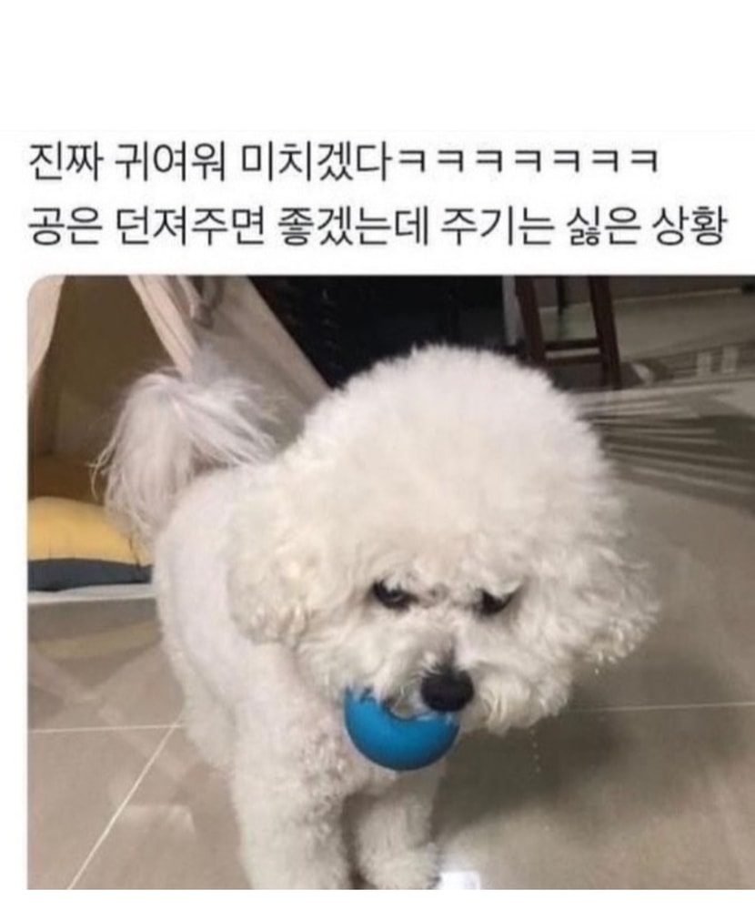 뭘봐
