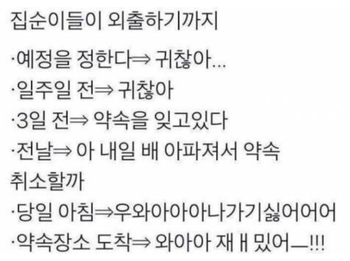 집순집돌이의 루틴