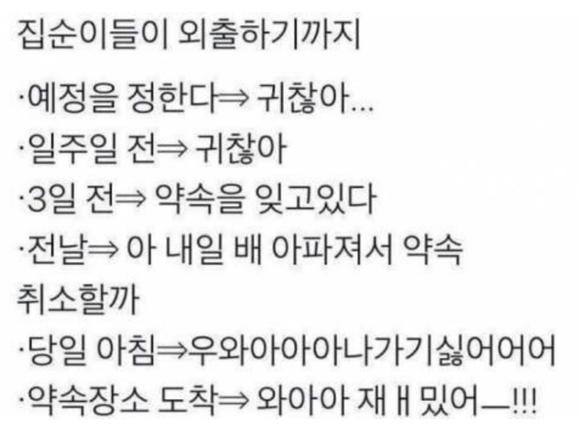 집순집돌이의 루틴
