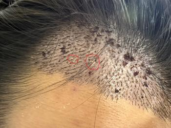 동그라미 표시된 곳 입니다.