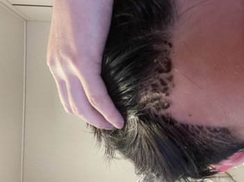 8일차