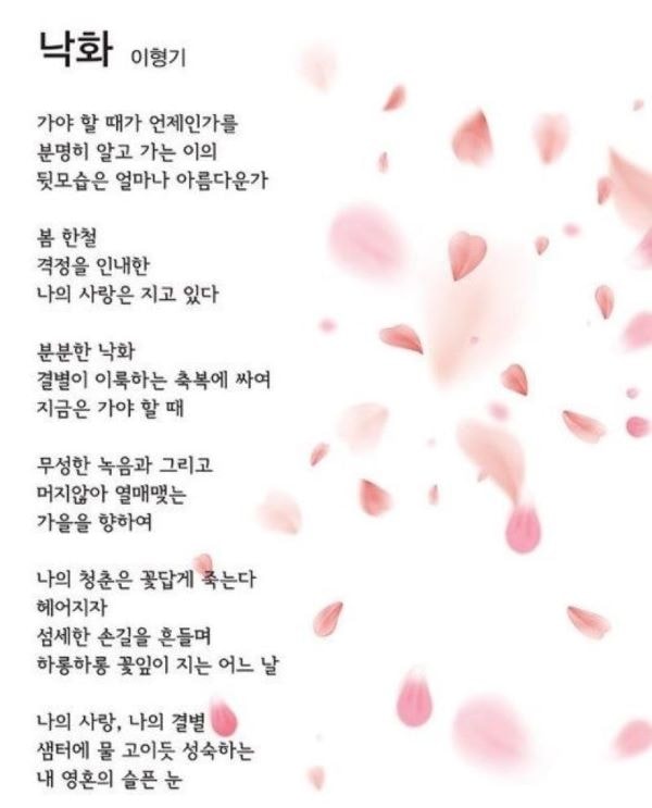 이형기님 &lt;낙화&gt;