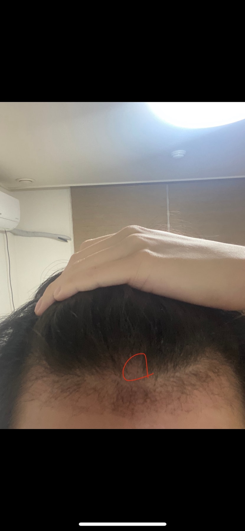 35일차 오늘