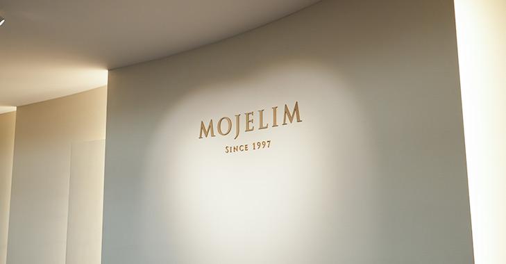 Mojelim Plastic Surgery 홍보이미지