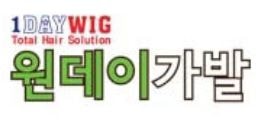 One-day wig