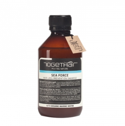 ユピトス トゥゲットヘア シフォード シャンプー