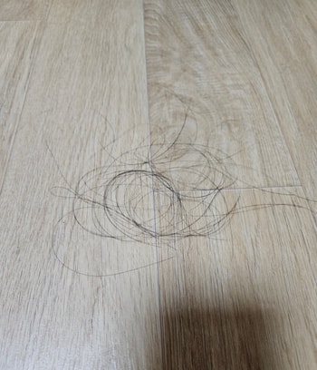 사용 전
